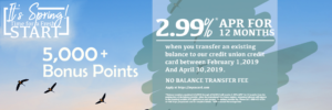 Spring Web Graphic