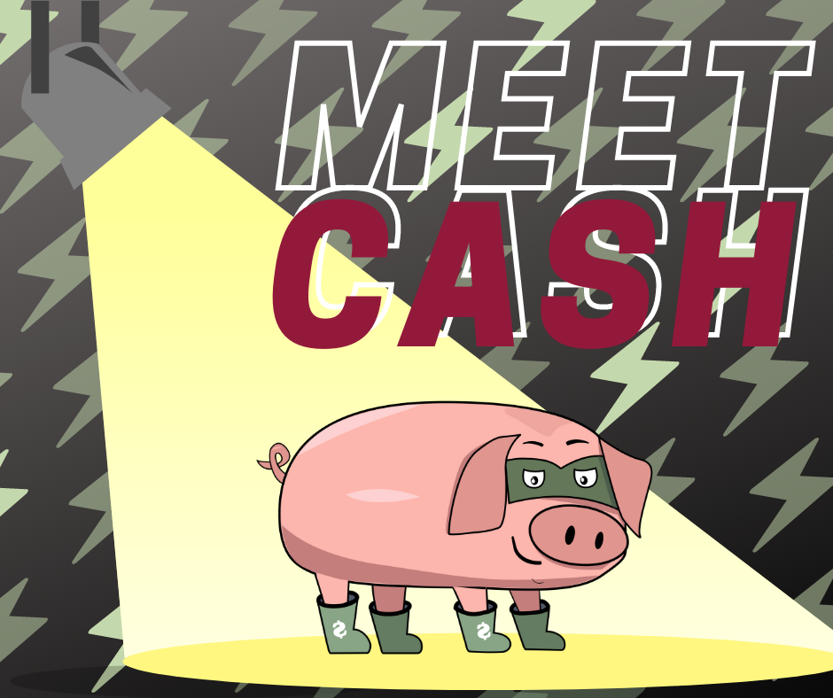 CASH-pig CASH-pig