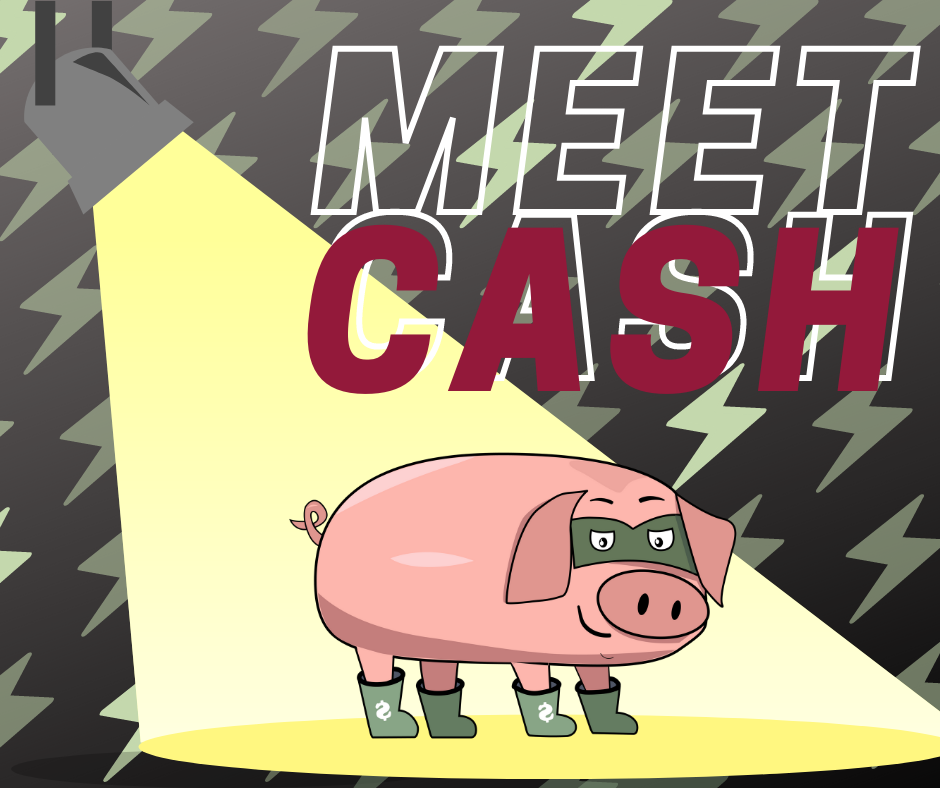 CASH-pig