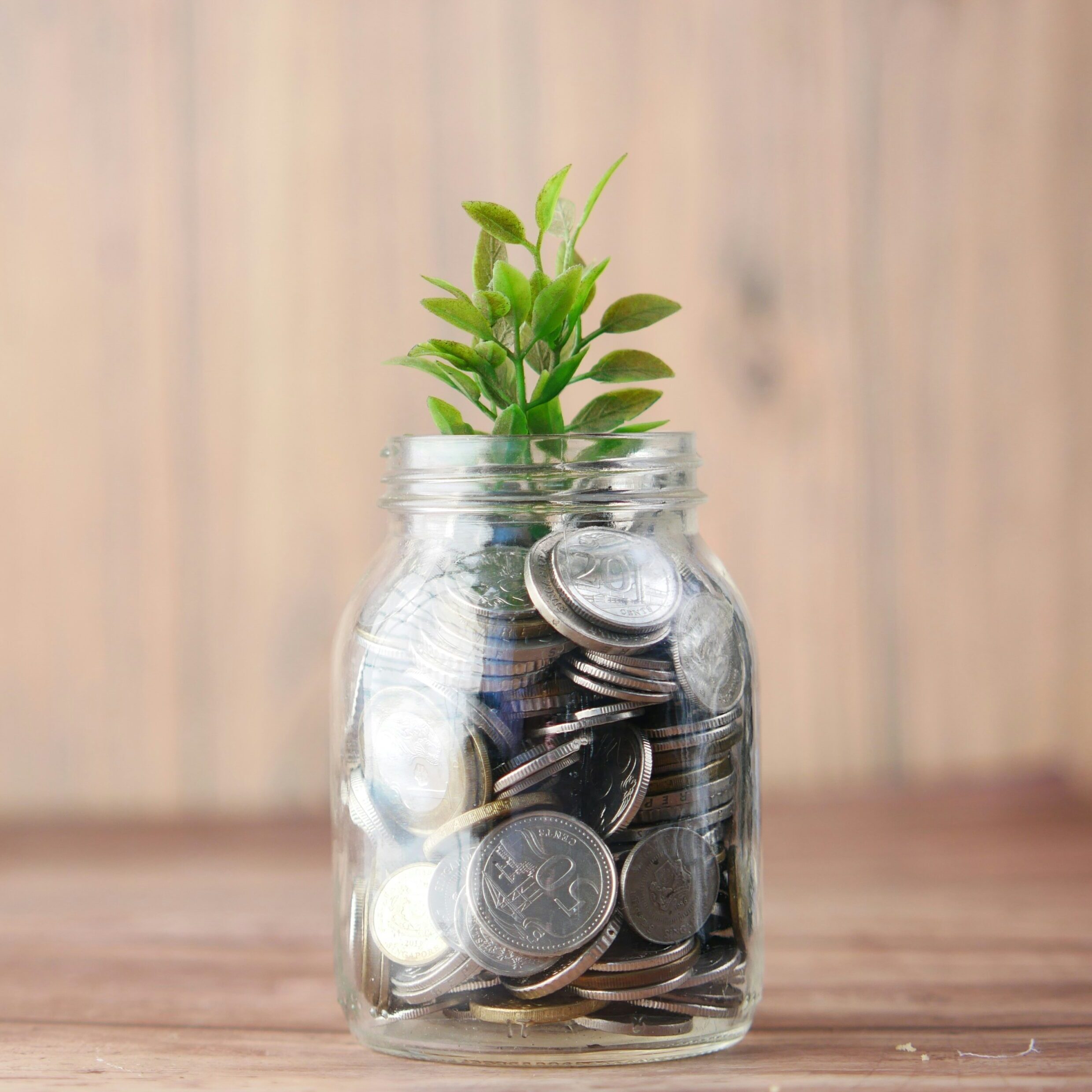 Glass jar sitting on table with coins in the jar and a plant sitting on top.